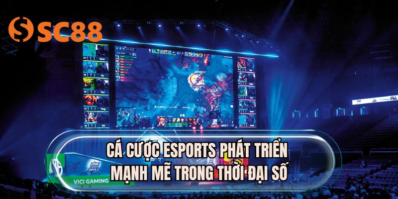 Cá cược eSports phát triển mạnh mẽ trong thời đại số